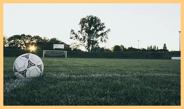 축구 결과 한국 팔레스타인 (하이라이트 동영상)