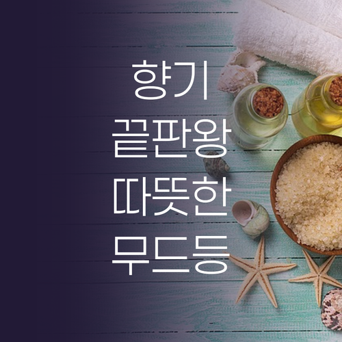 가성비 끝판왕 디퓨저부터 고급 무드등..