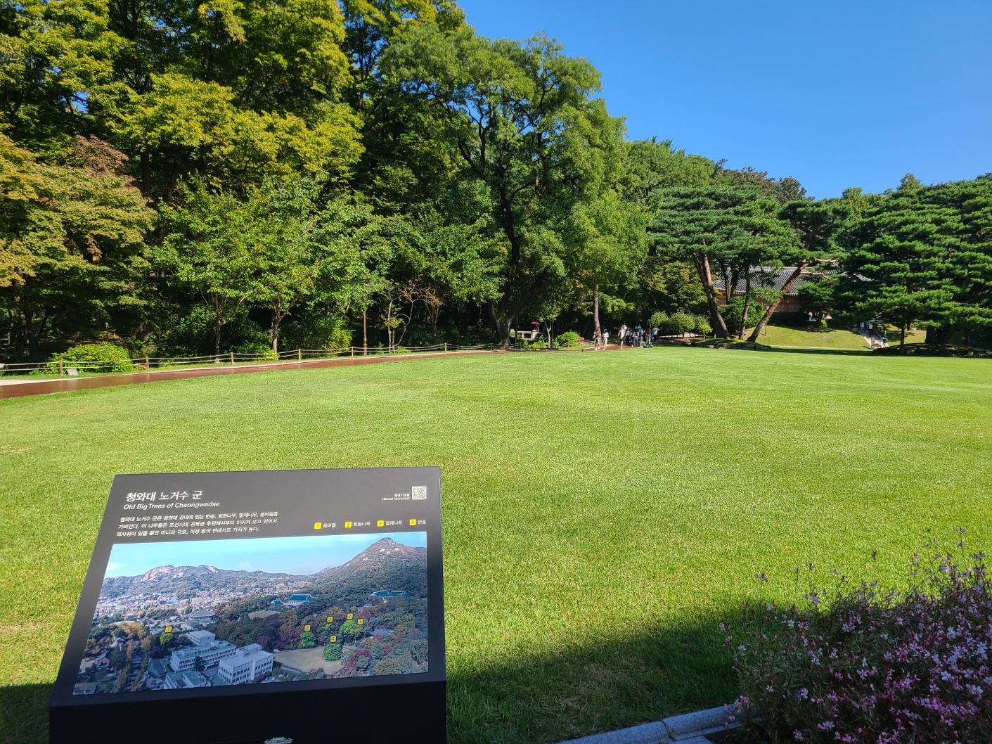 청와대 관람 하기