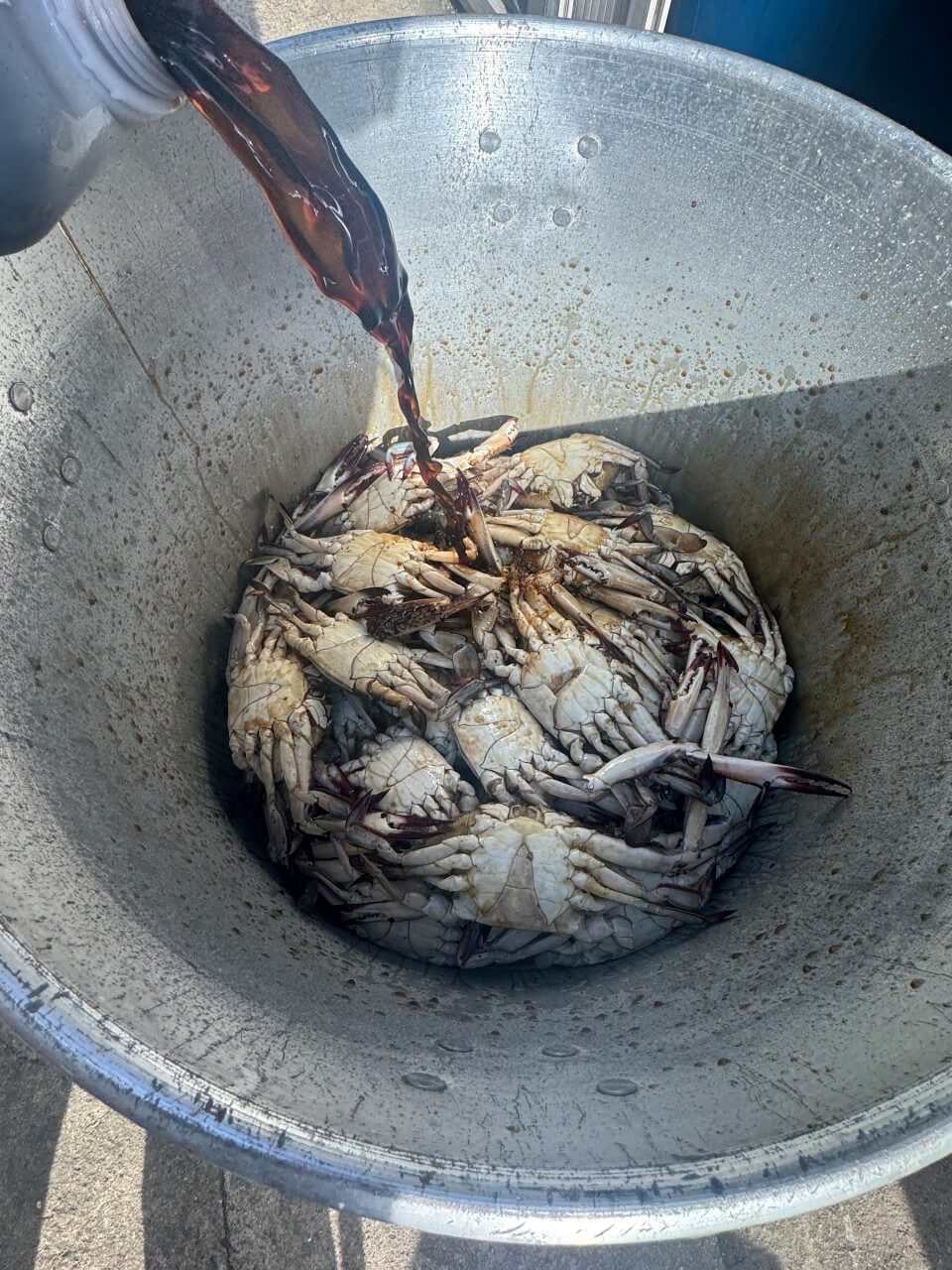 6시내고향 전북 부안 게장 맛집 모녀게장식당 주문방법