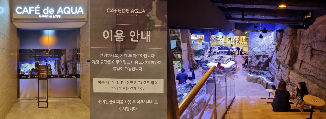 카페-드-아쿠아