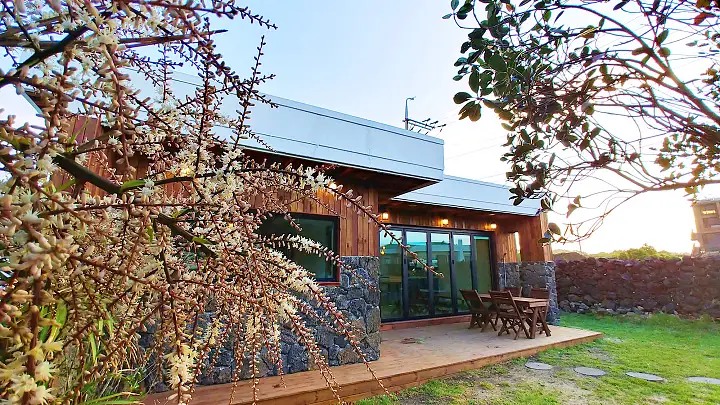 펜션 여유로운 월정리의 아침을 느낄 수 있는 숙소 추천 제주 가볼만한 곳