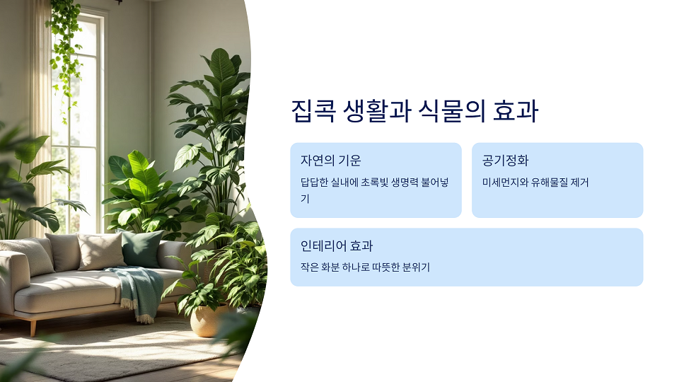 집콕 생활과 식물의 효과