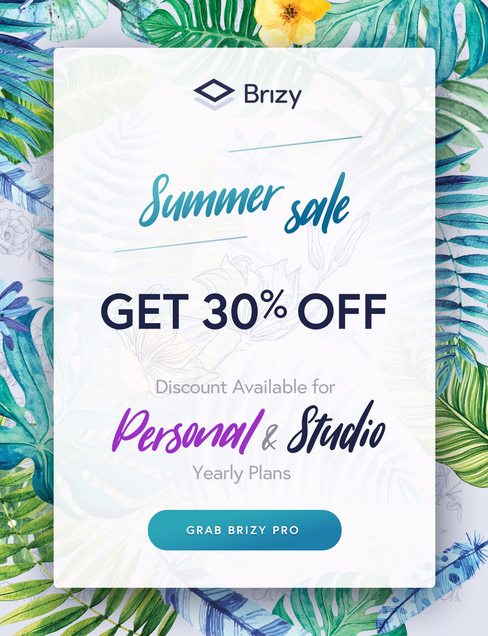 워드프레스 Brizy 페이지 빌더 세일
