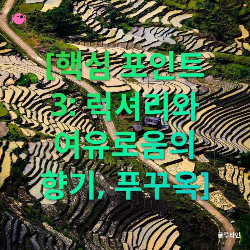 베트남 여행_3