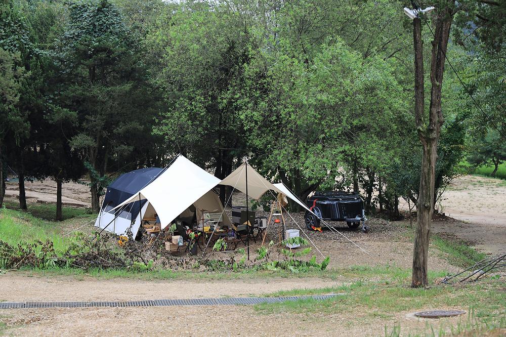 경기도 평택시 갈릴리 야영장 소개