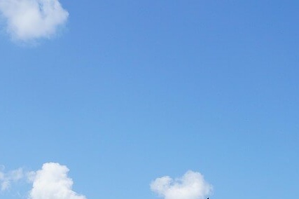 대입 수시 정시 일정