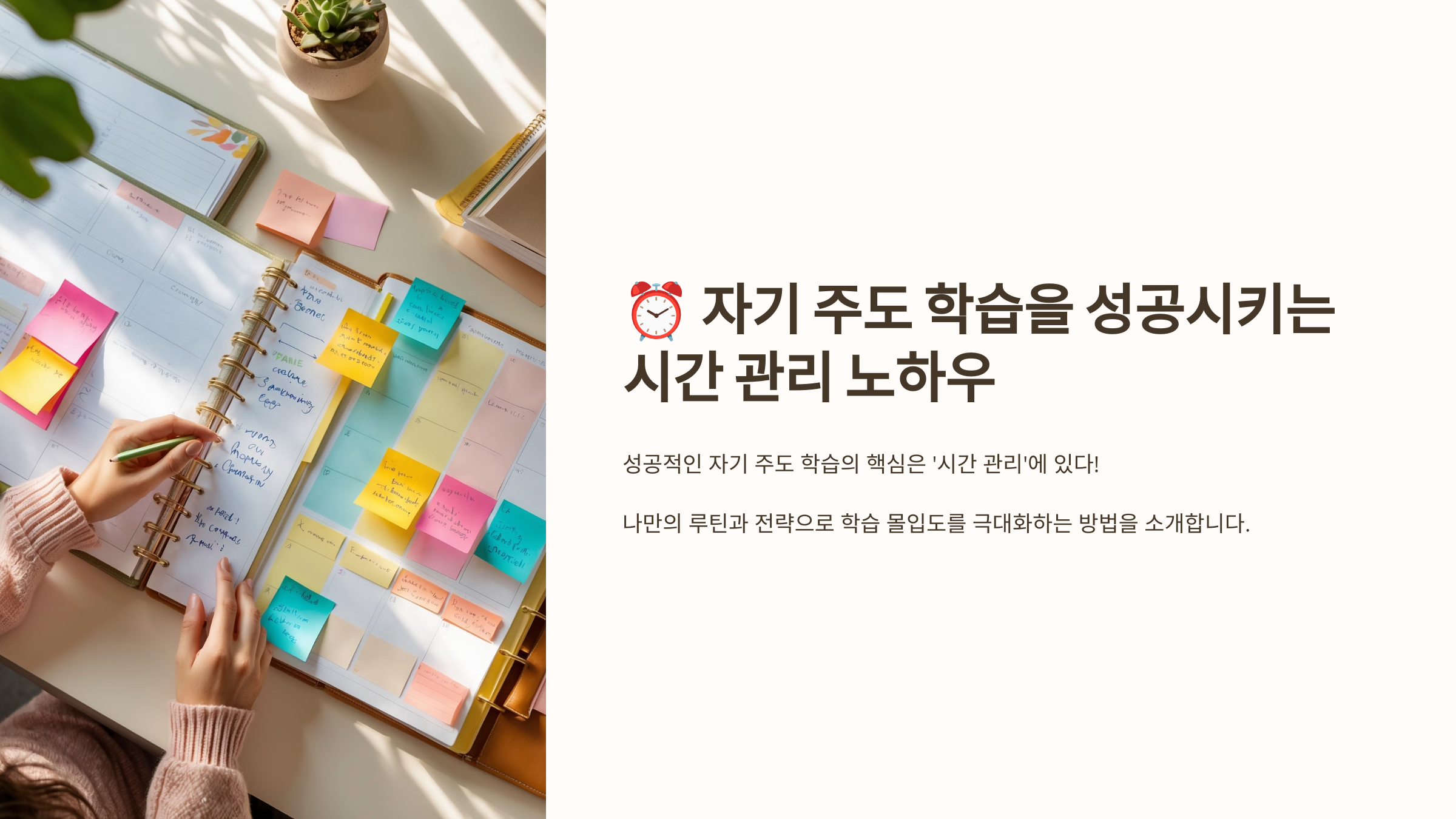 자기 주도 학습을 완성하는 시간 관리 노하우