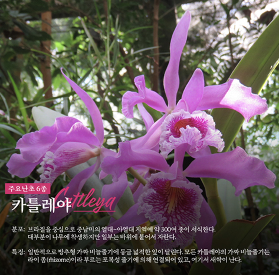 서울 식물원
