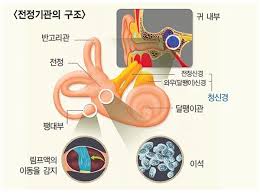이석증 증상, 자가진단, 치료법