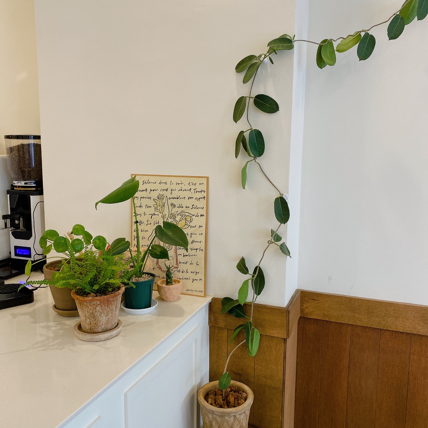 제주 일도이동 신산공원 어브라운브리즈 A brown breeze 카페 추천 리뷰 제주도민 맛집