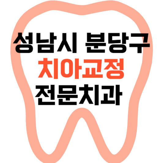 성남시 분당구 치아교정 치과 잘하는 곳 전문 치과 추천 가격 비용.png