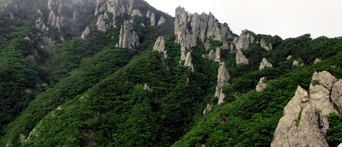 한라산 성판악 코스