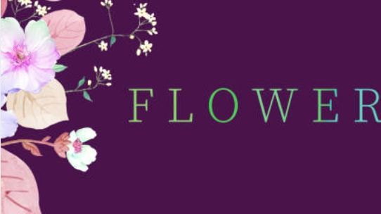 인기 꽃말과 꽃들의 사진