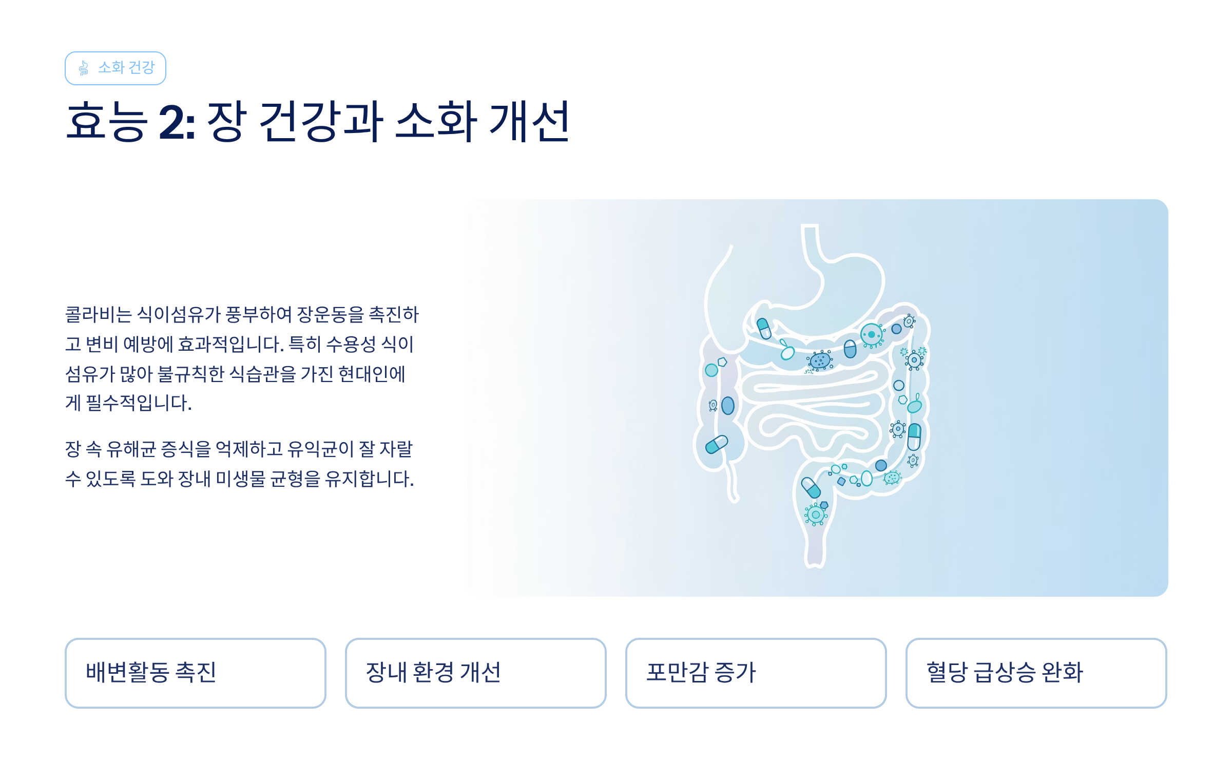 콜라비 효능 정말 놀라운 4가지