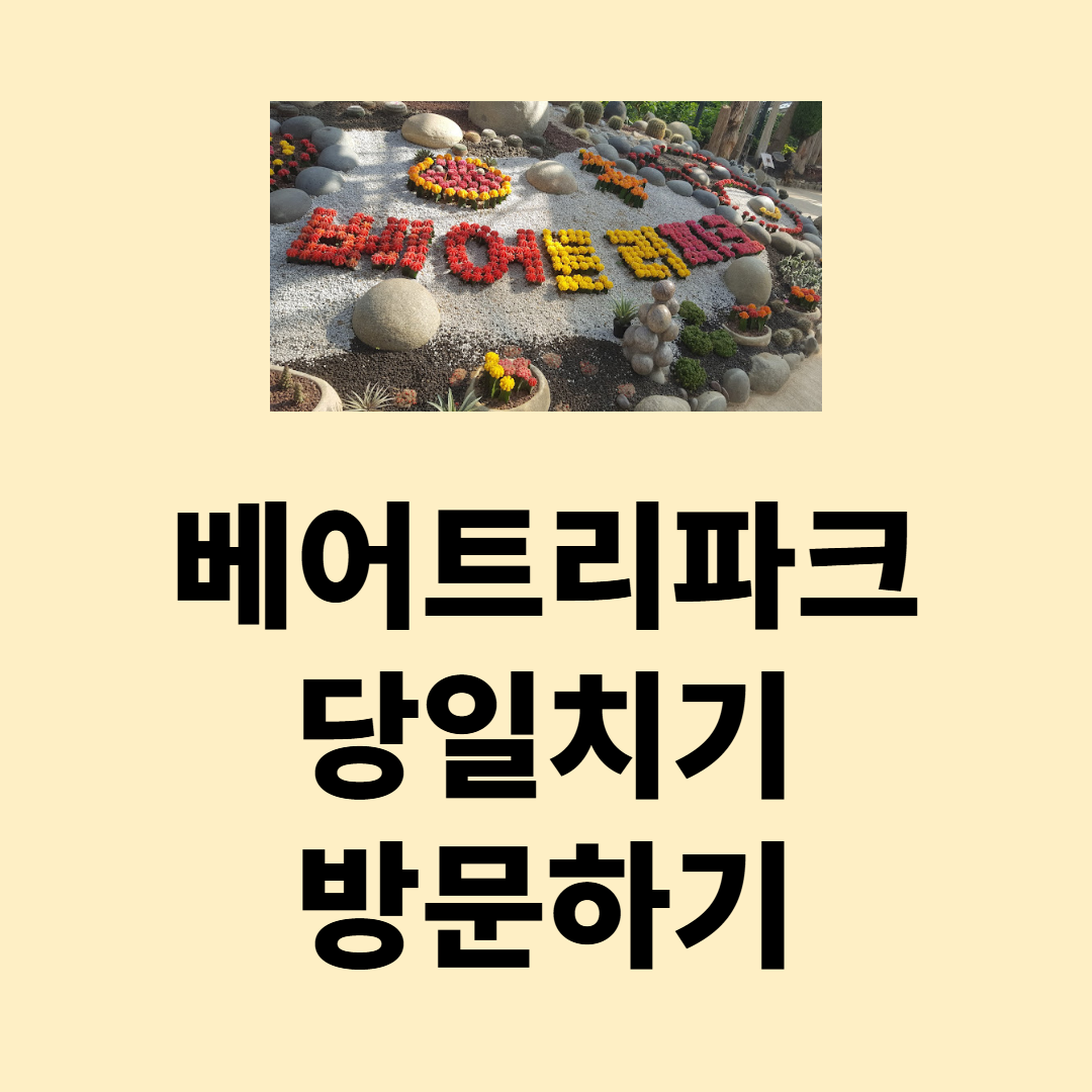 국내여행 당일치기 여행 베어트리파크