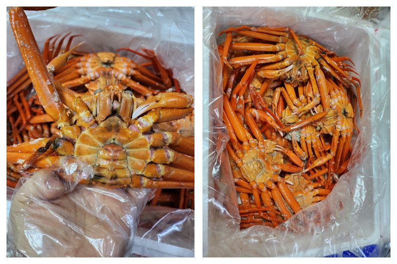 내장이 흐를까봐 등을 아래로 담아보내왔어요.