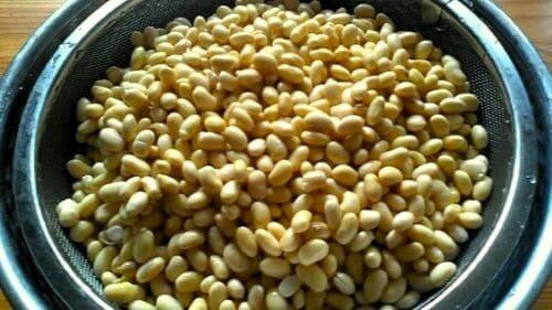 메주콩-노란콩-세척하기-불리기