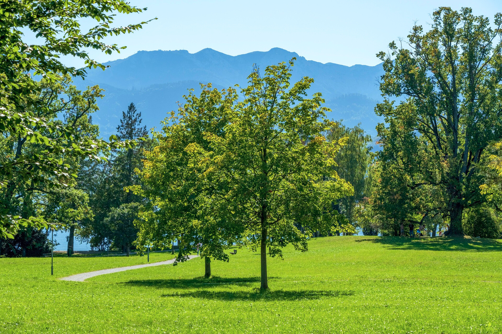 자연 공원 관련 사진