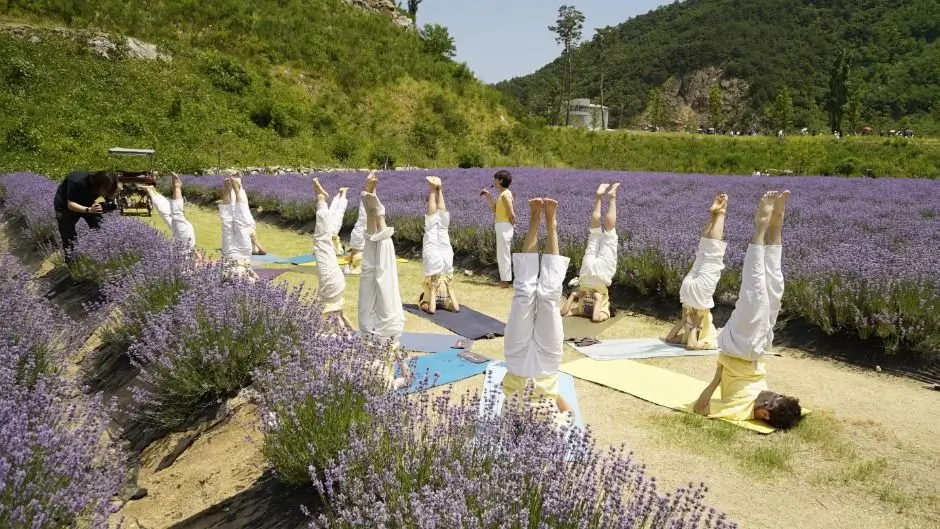 848e50c9-b824-4683-a028-2809a5ec23bb_6