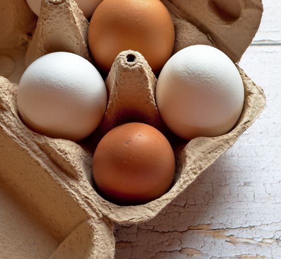 알레르기 증상 원인 예방법