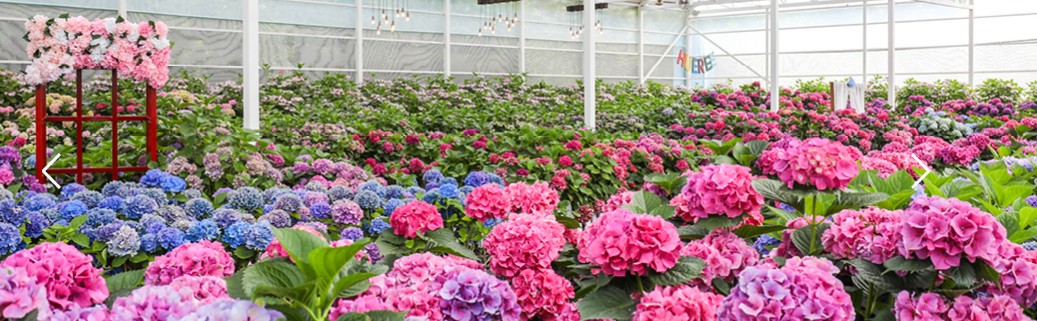 휴애리 자연생활공원