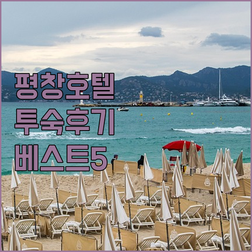 강원도 평창 호텔 베스트 5 객실 사..