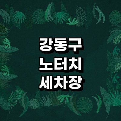 서울 강동구 노터치 세차