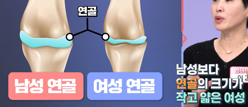 msm의 효능