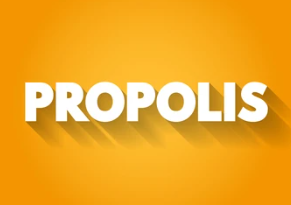 프로폴리스 효능