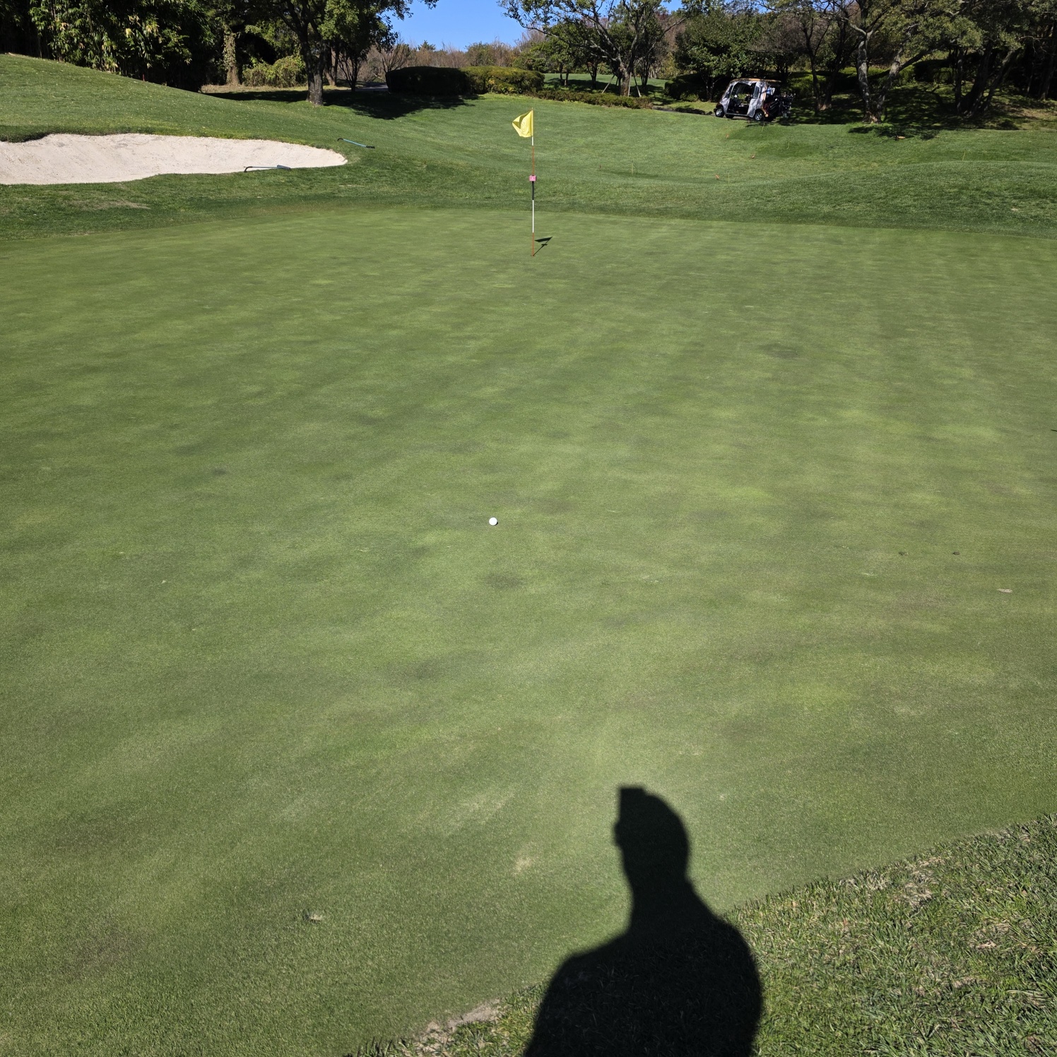 핀크스골프클럽온그린사진