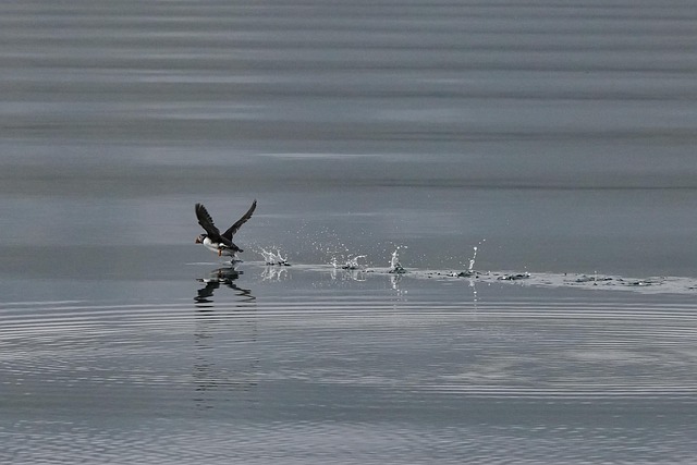 2025 계룡군 문화축제&amp;#44; K-군(軍)문화의 메카에서 모험과 체험의 장!