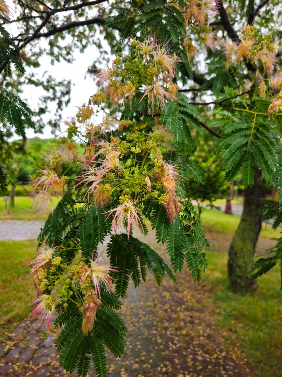 발달장애인 직업재활 성공 모델