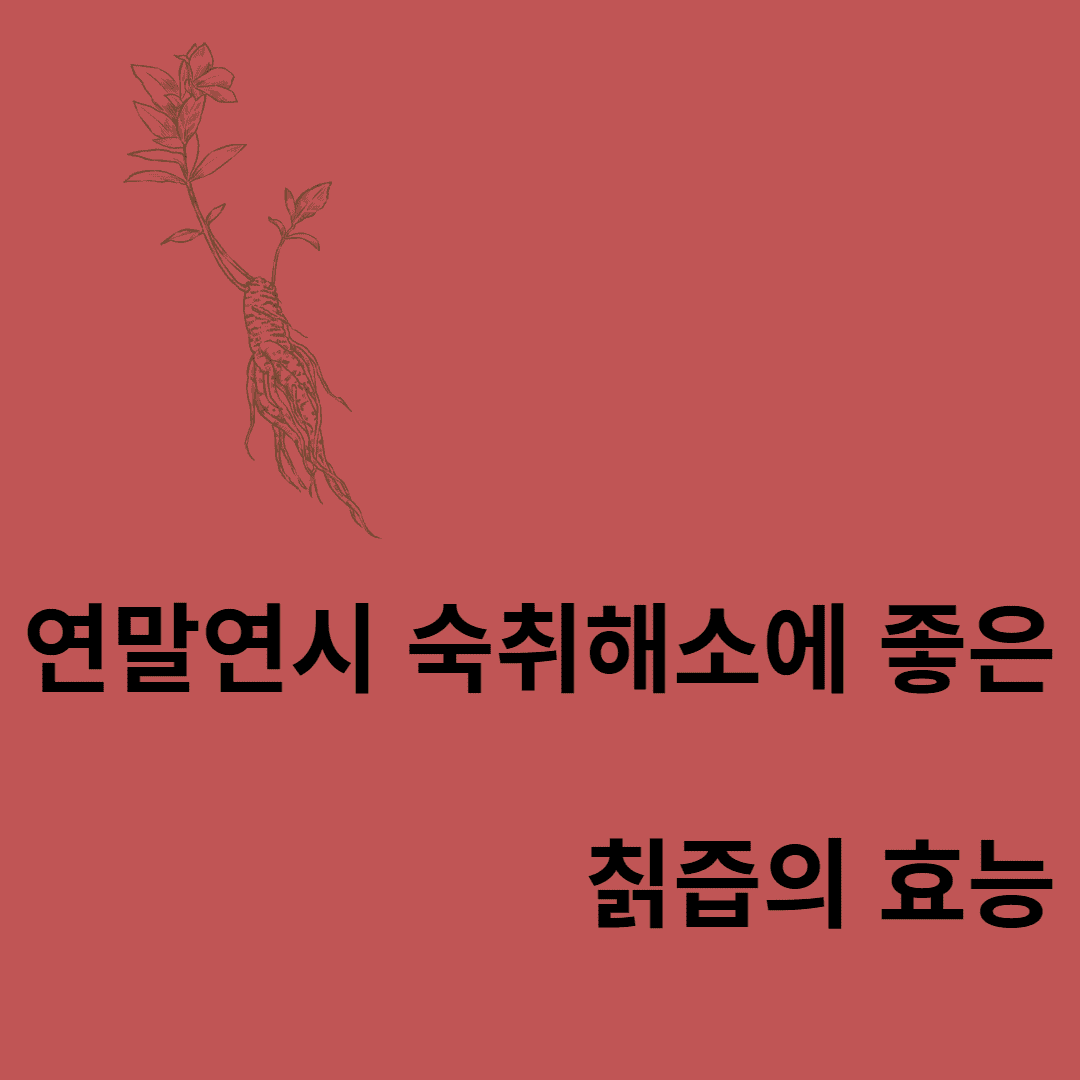 칡즙의 효능
