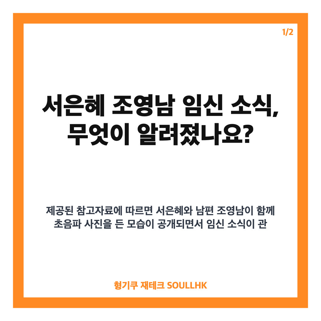 서은혜 조영남 임신, 초음파 사진 공개로 알려진 소식 정리 카드뉴스 1