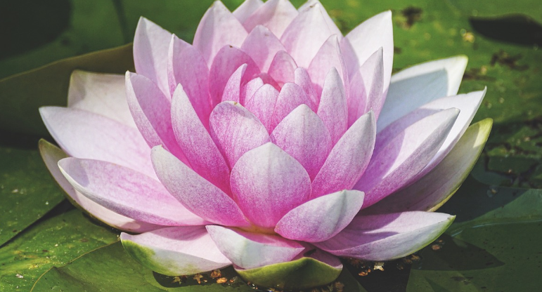 금요일 아침인사말과 가볍게 보낼 테스트 모음집