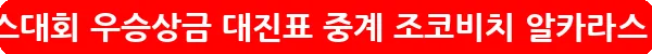 us오픈테니스대회 우승상금 대진표 중계 조코비치 알카라스_17