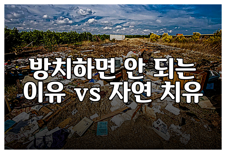 방치하면 안 되는 이유 vs 자연 치유