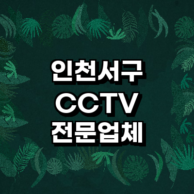 인천 서구 cctv