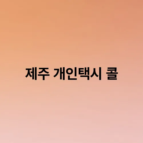 제주 개인택시 콜