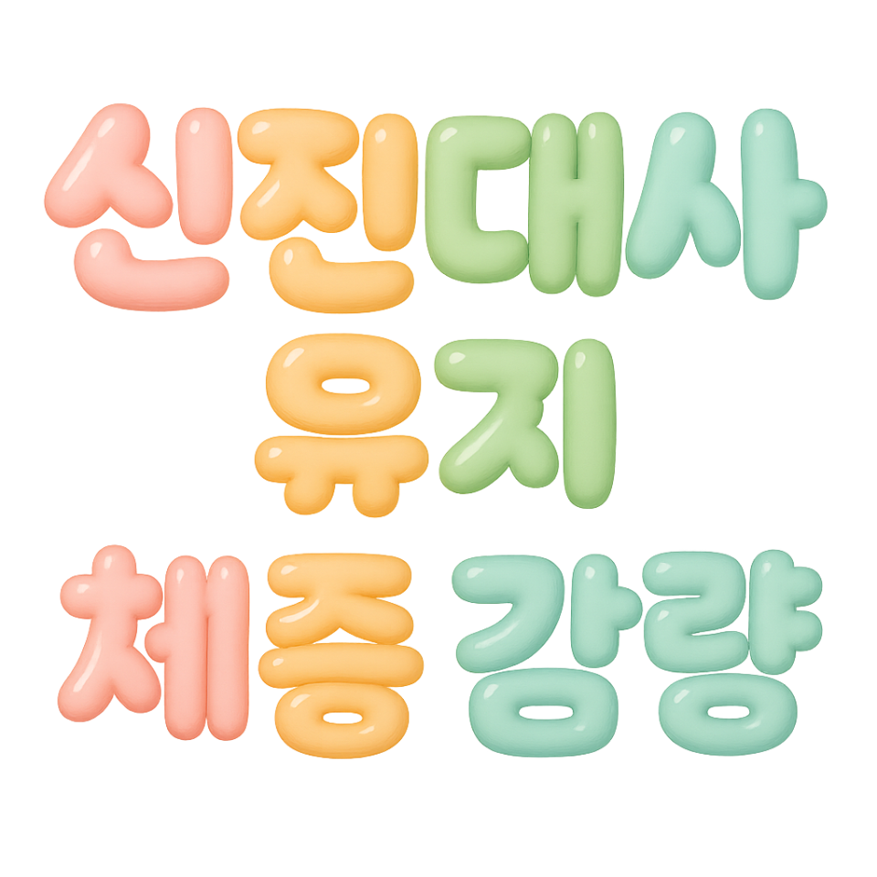 신진대사-체중감량