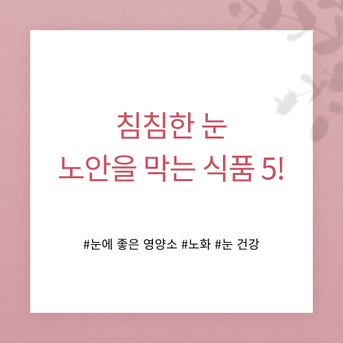 노안을 막아주는 식품