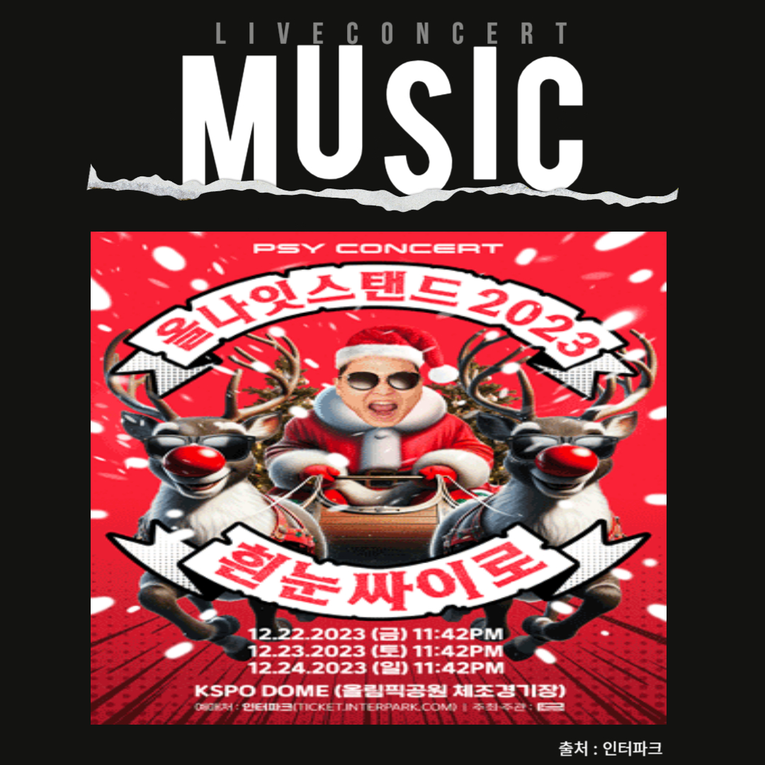 싸이 연말 콘서트