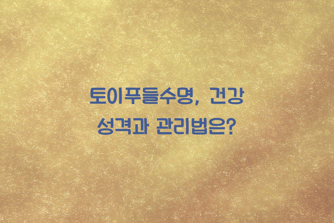 토이푸들수명