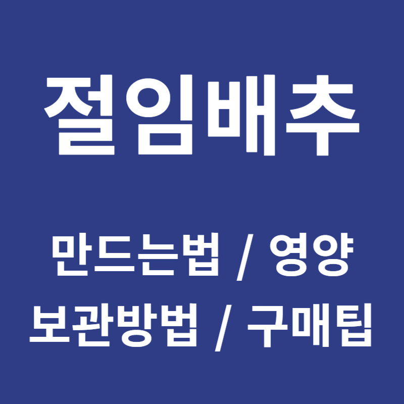 절임배추 만드는법 영양 보관방법 구매팁