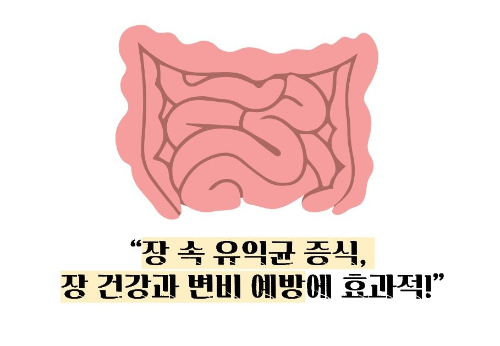 돼지감자차 효능과 부작용