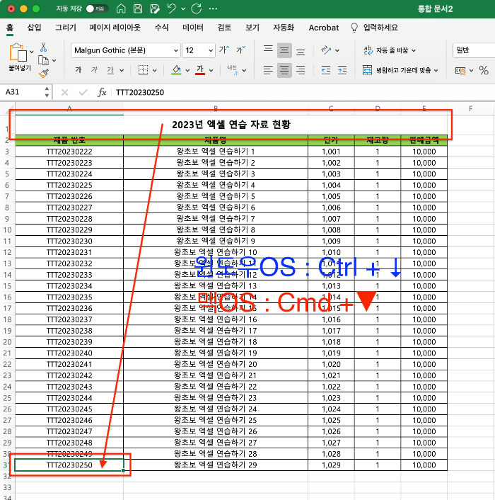 열의 마지막 데이터 셀로 셀 포인터 한 번에 이동하기