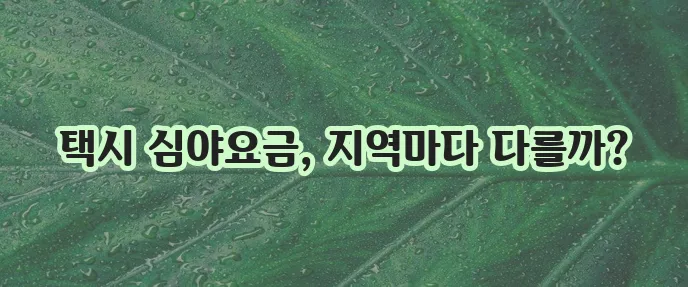 지역별 택시 할증 시간 및 요금