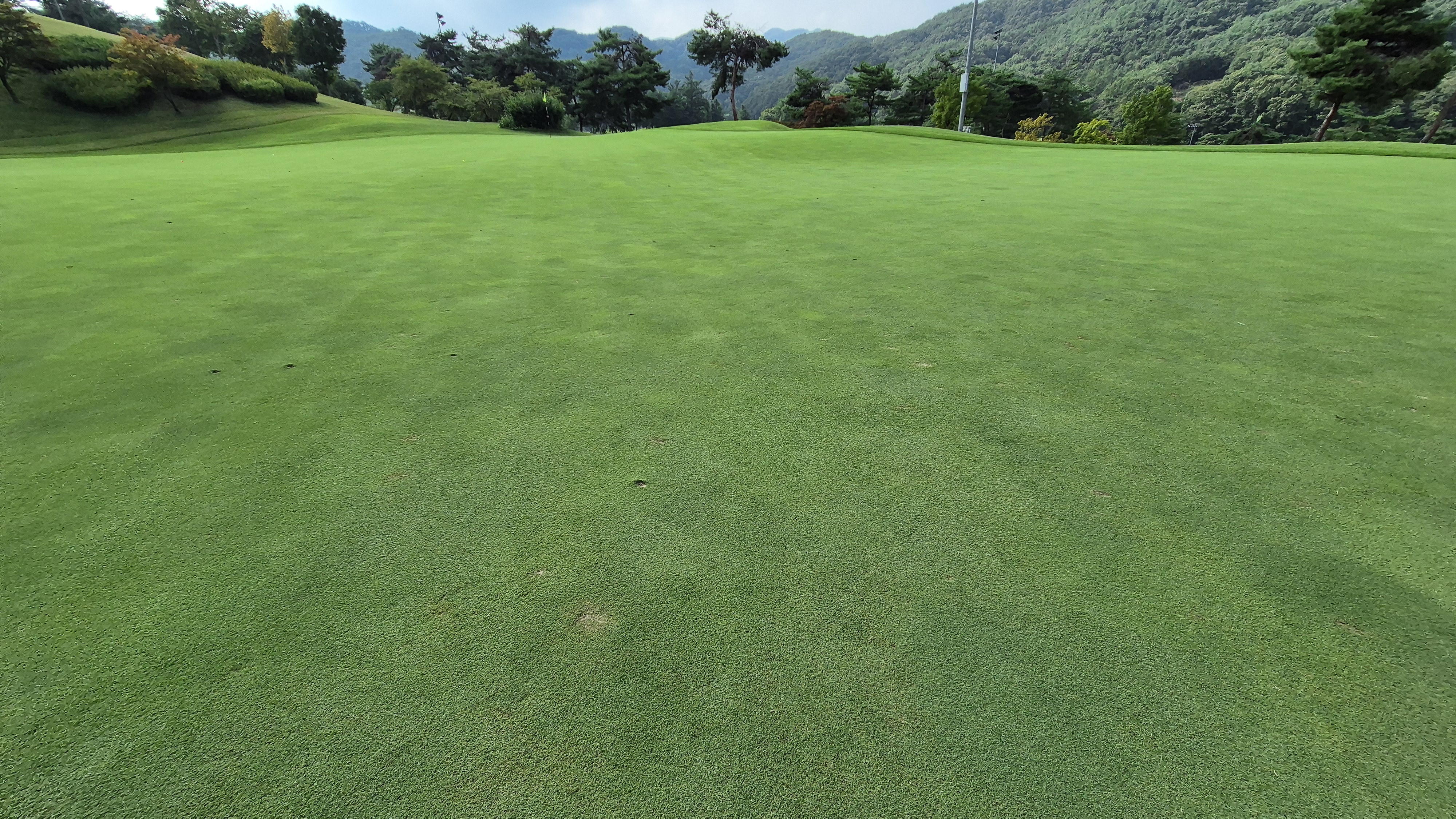 동원썬밸리cc 라운드 후기