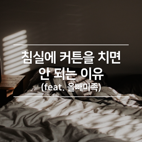 침실에 커튼을 치면 안 되는 이유 (feat. 올빼미족)